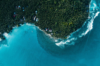 The Driftwood Mentawai Experience: More Than Just a Surf Trip