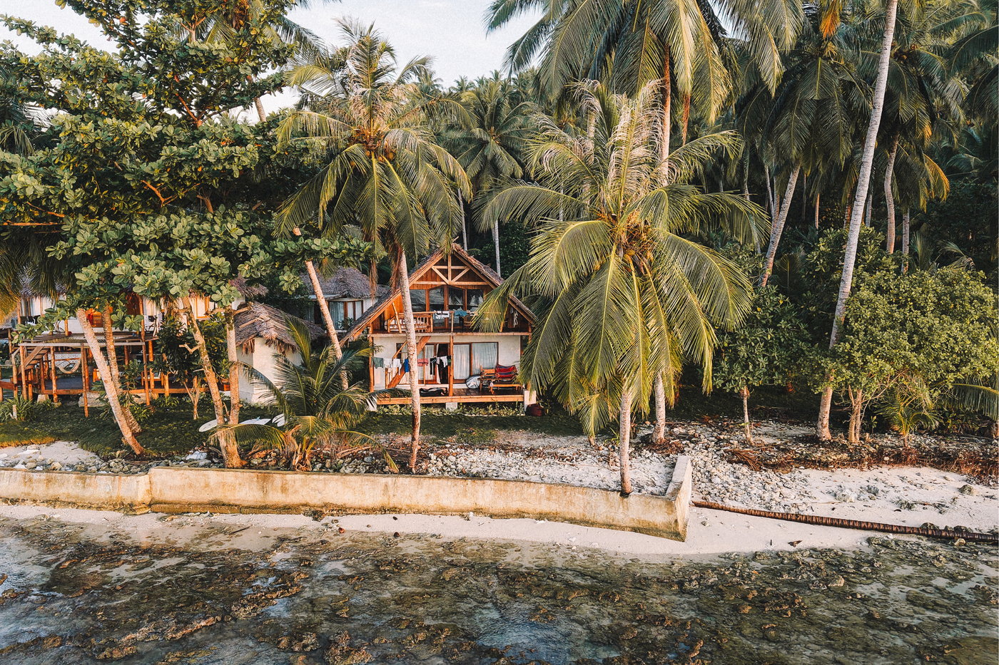 Driftwood Mentawai