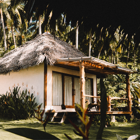 Jungle Bungalow Room